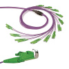 it_kabel_fiberoptic_aufteiler_om4_e2000